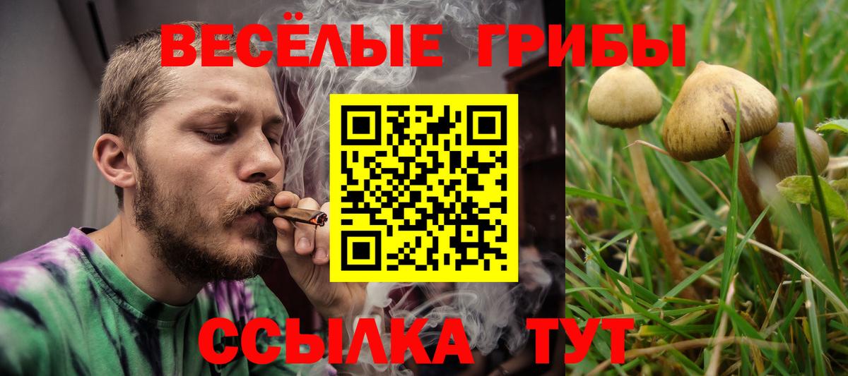 Галлюциногенные грибы мицелий  Вход с VPN  закладка  Кирово-Чепецк 